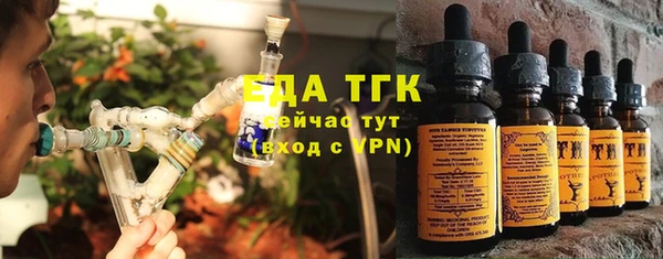 сатива Новозыбков